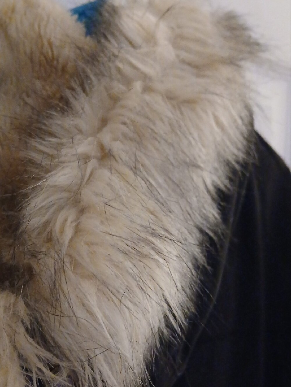 Women’s Black Bomber Jacket with Cream Faux Fur Collar - Picture 5 of 7